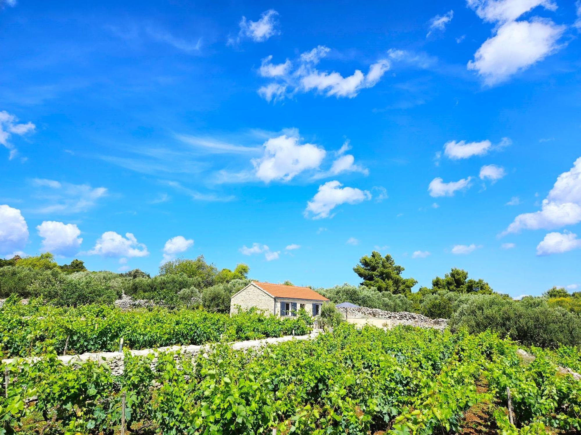 Вилла Stone House In Vineyard Рачишче Экстерьер фото